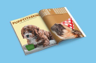 Magazine Layout Design