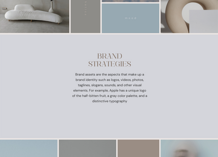 Full Brand Identity Development