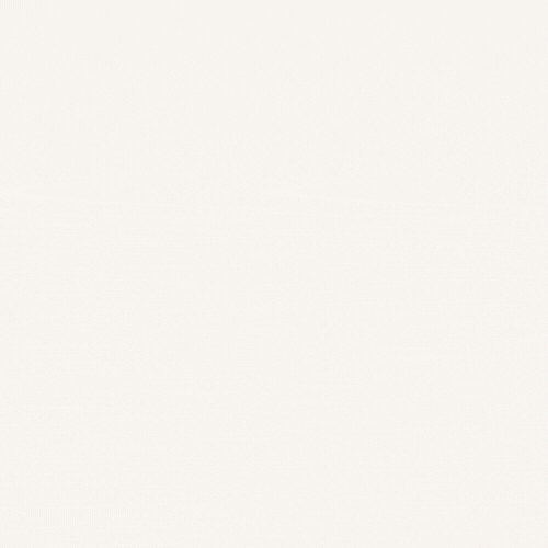 Animated Logo Design