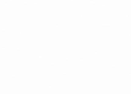 Animated Logo Design