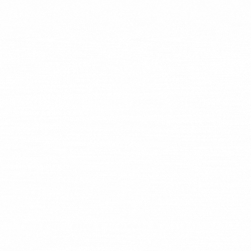 Animated Logo Design