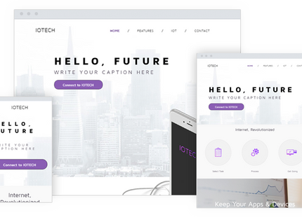 Website Migration Service