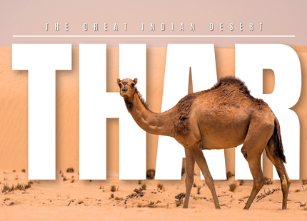 Unlimited Graphic Design