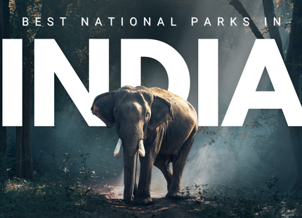 Unlimited Graphic Design