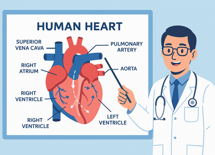 create an example of a medical  Explainer Video