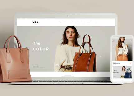 Website Migration Service