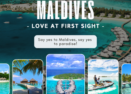 Unlimited Social Media Management