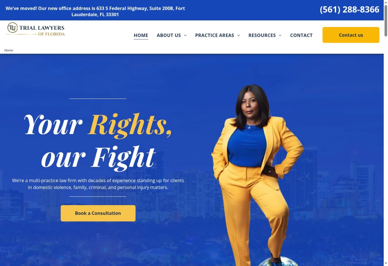 Trial Lawyers of Florida previous portfolio example